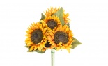  Natural Sunflower Bund