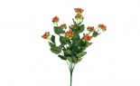  HYPERICUM BUSH RED