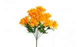  Chrysanthemum Bush X12 G